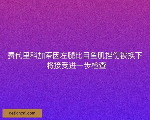费代里科加蒂因左腿比目鱼肌挫伤被换下 将接受进一步检查
