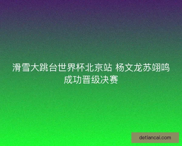 滑雪大跳台世界杯北京站 杨文龙苏翊鸣成功晋级决赛